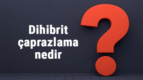 Dihibrit Çaprazlama: Nedir ve Nasıl Yapılır?