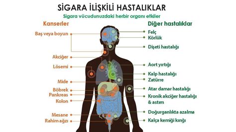 Sigaranın Sağlık Üzerindeki Olumsuz Etkileri ve Tedavi Seçenekleri