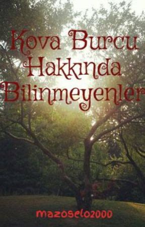 Kova Burcu Hakkında Bilinmeyenler