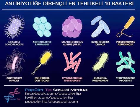 Antibiyotik İshaline Neden Olan Mikroorganizmalar
