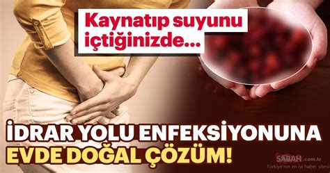 İdrar Yolu Enfeksiyonu İçin Evde Uygulanabilecek Doğal Tedavi Yöntemleri