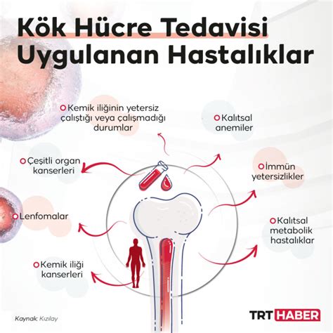 Kök Hücre ve Kemik İliği Bağışı