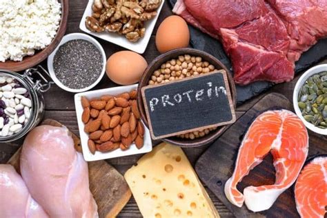 Gebelikte Protein Eksikliği ve Protein Alımı