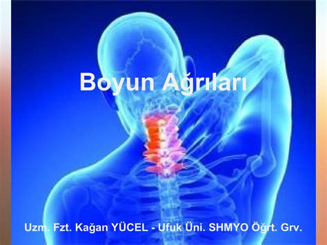 Boyun Ağrıları