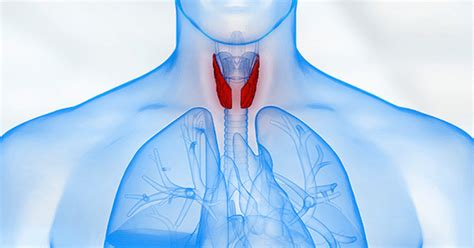 Tiroid Hastalıkları ve Tiroid Nodülleri